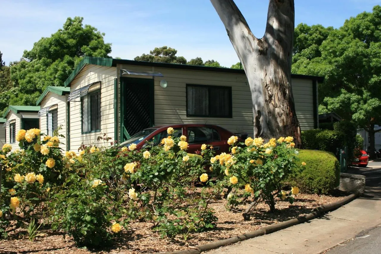 ****  Levi Adelaide Holiday Park Australia